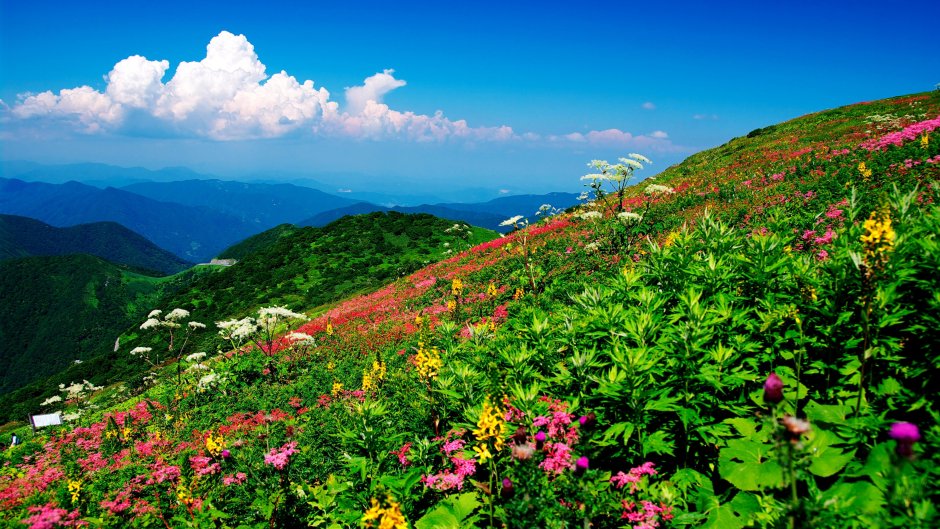 Природа Весна горы