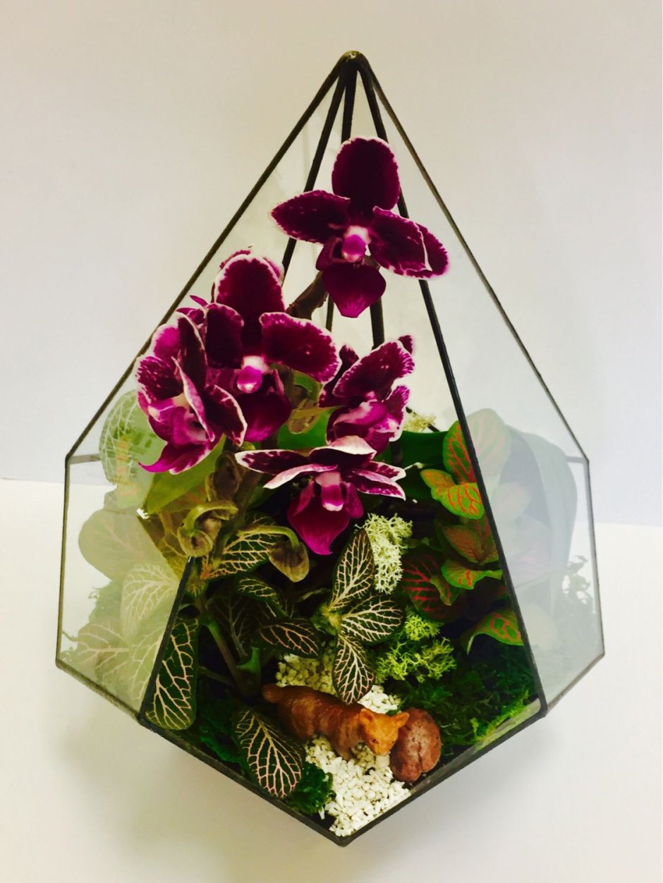 Ванда орхидея в стекле