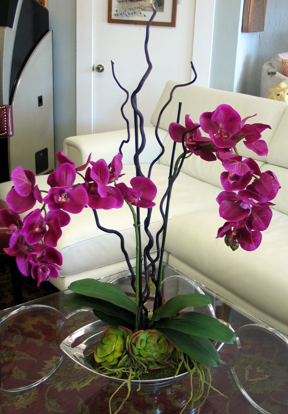 Идеи для выращивания орхидей