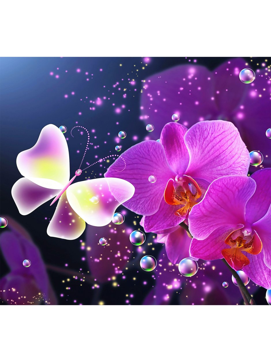 Фотообои орхидеи с бабочками