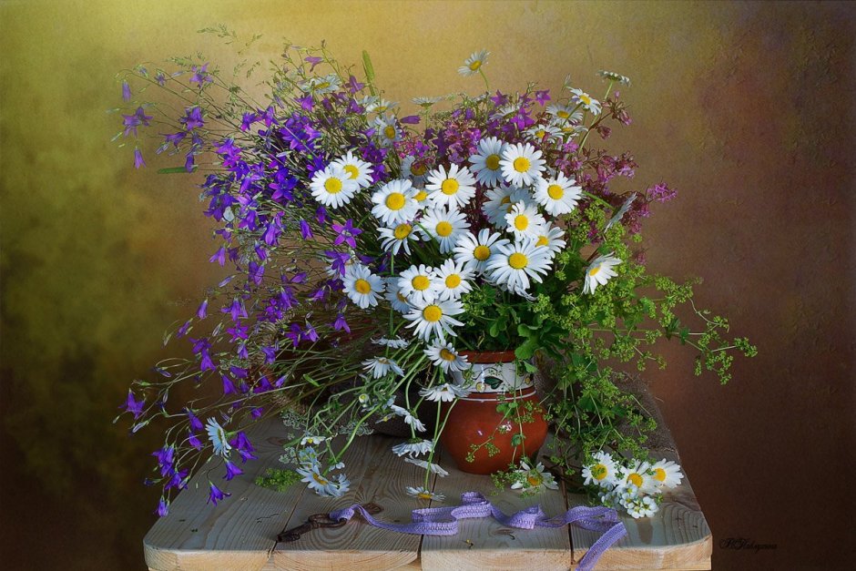 Полевые цветы Ольга Колова