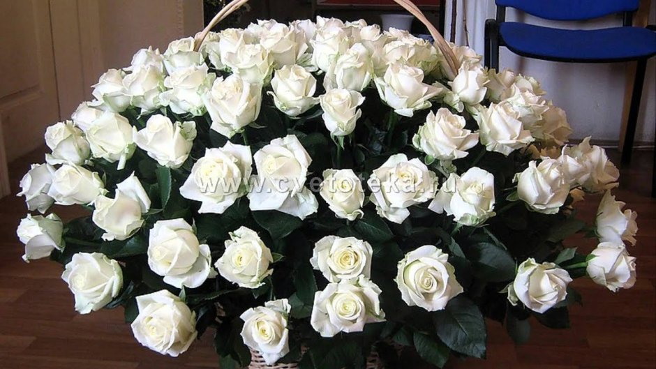 Букет большой белых роз с мужчиной
