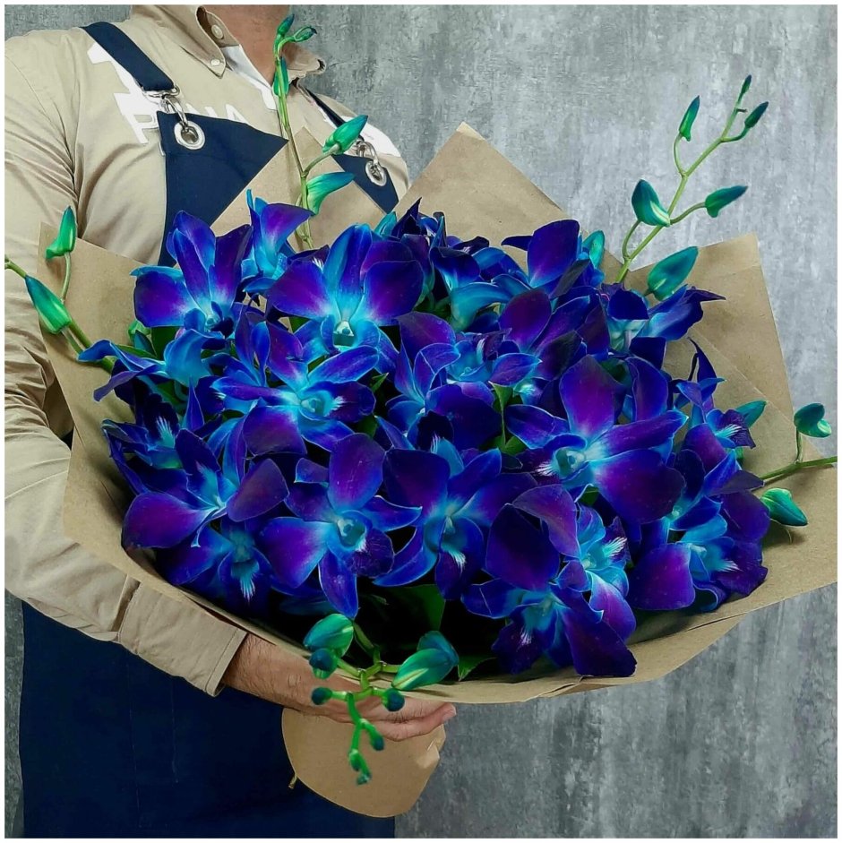 Орхидея Дендробиум синяя букет