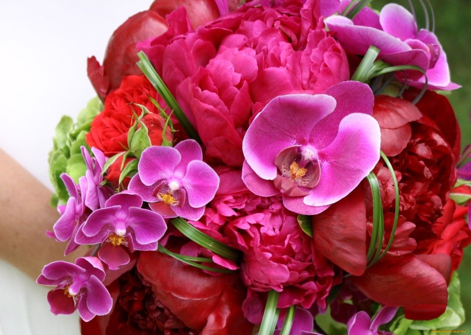 Букет невесты каллы и орхидеи