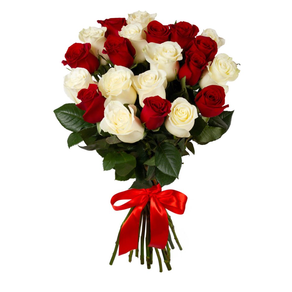 Букет из 25 роз красных и белых роз
