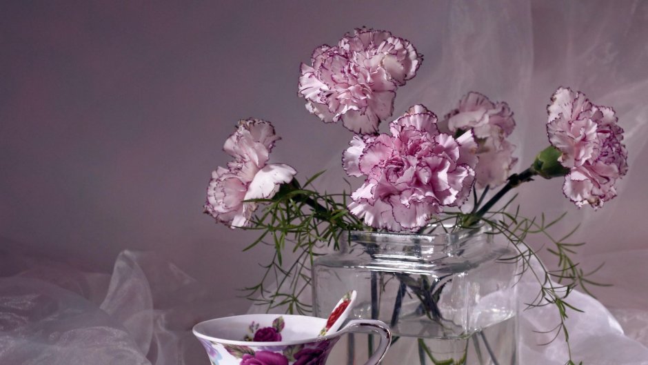Розовые гвоздики в вазе