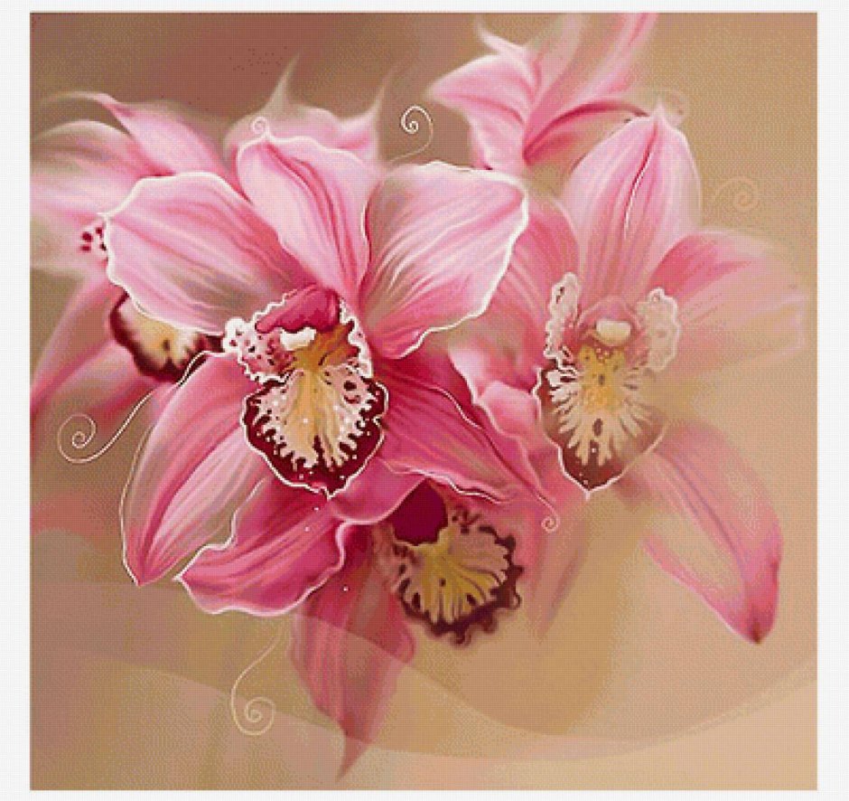Фэнтези цветы орхидеи