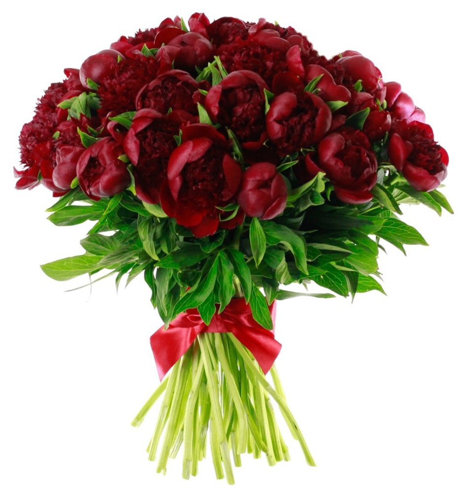 Красные пионовидные розы букет