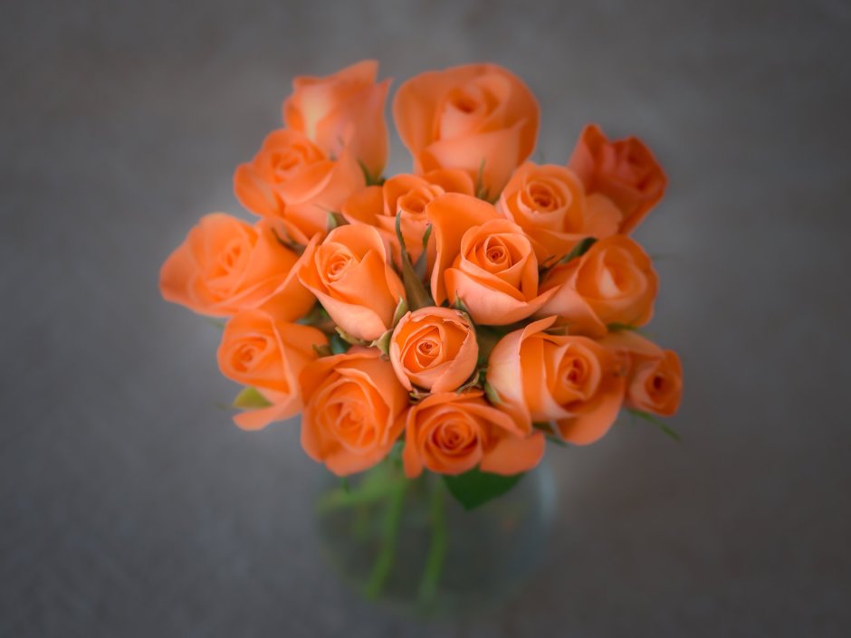 Цветы розы оранжевые мелкие