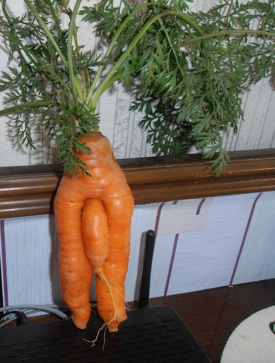 Букет из морковки
