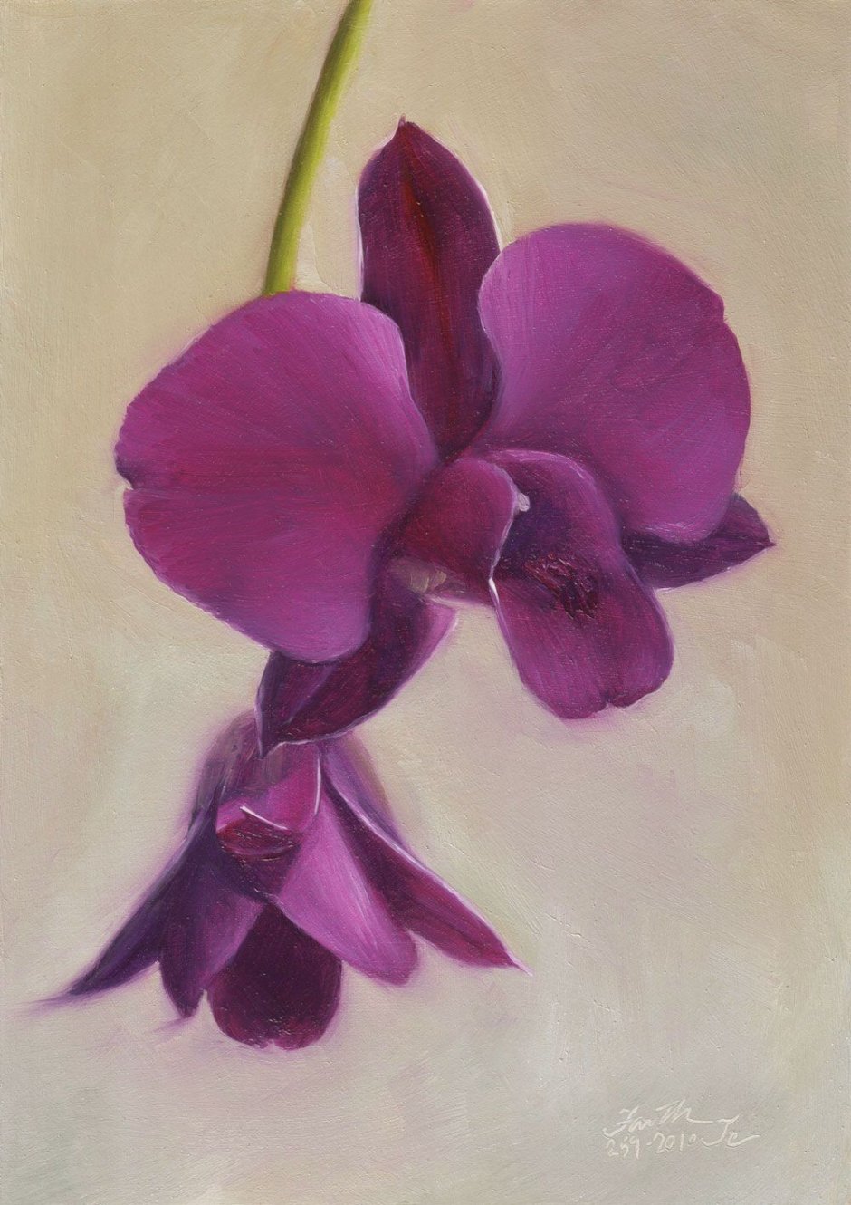 Картина фиолетовые орхидеи