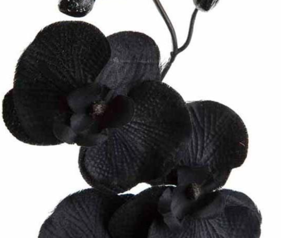 Черная Орхидея цветок из фоамирана