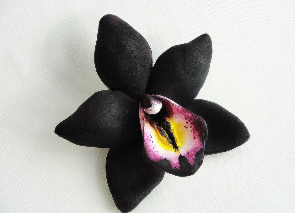 Черная Орхидея