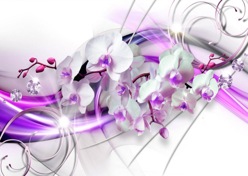 Орхидея Ванда фиолетовая