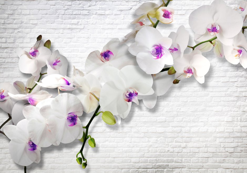 Белая Орхидея из изолона