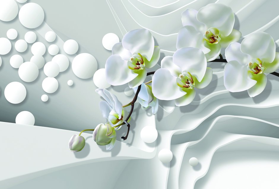 Белая Орхидея на сером фоне