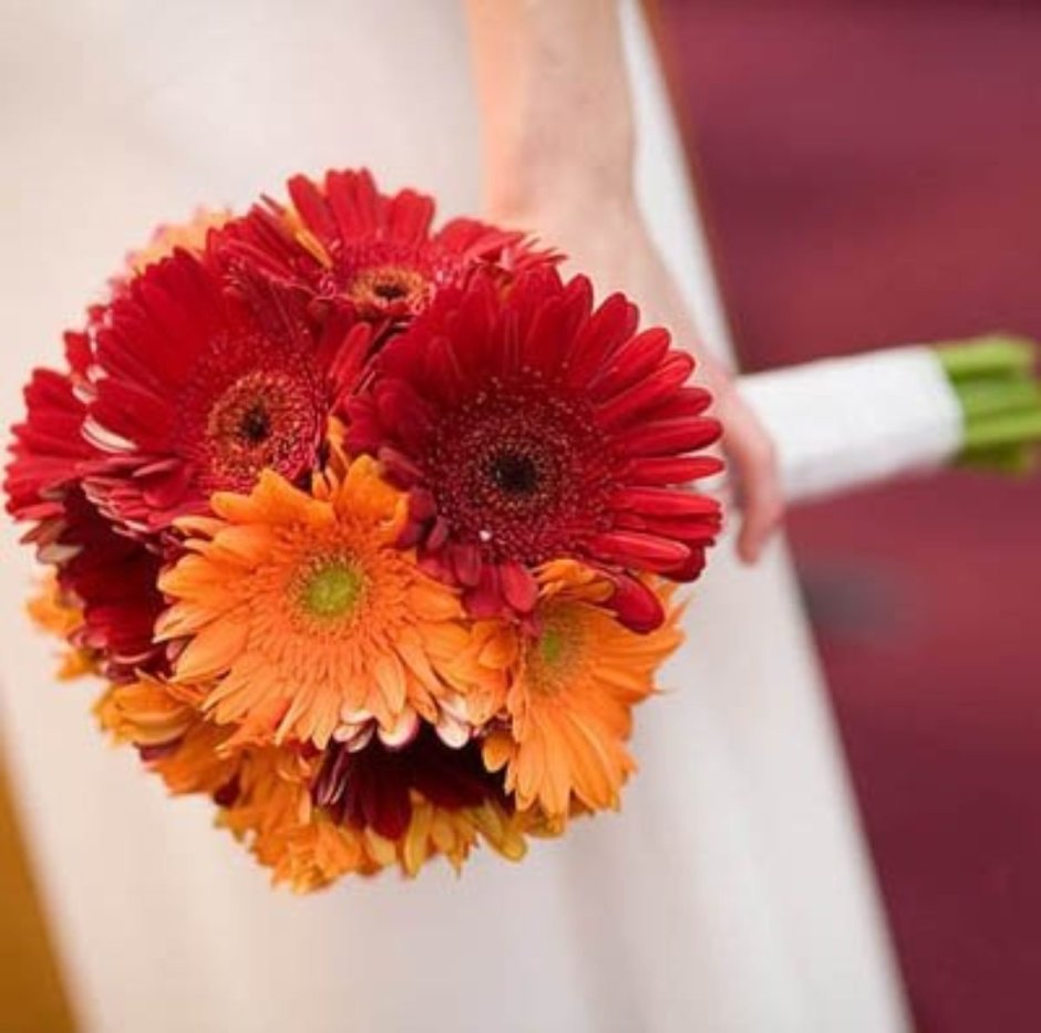 Букет невесты герберы и хризантемы