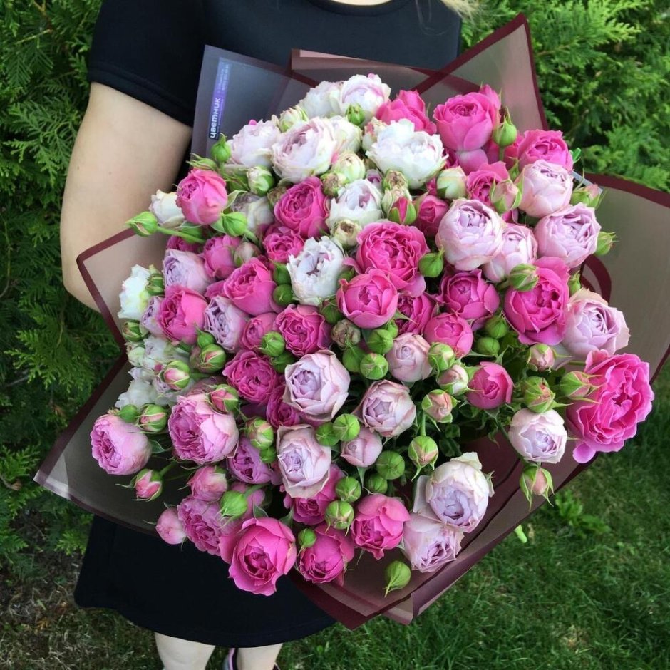 Купить пионовидную розу в г Курганинске Краснодарский край