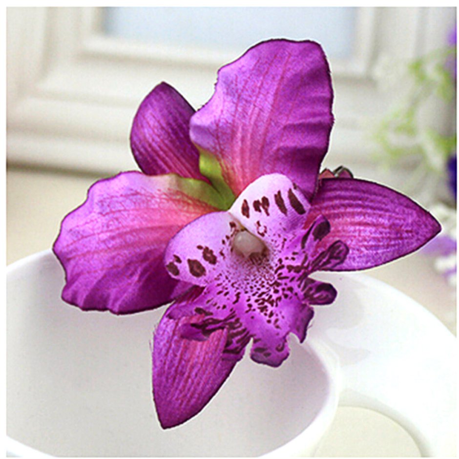 Орхидея Богемианс