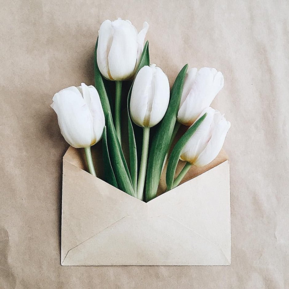 Тюльпаны в конверте букет