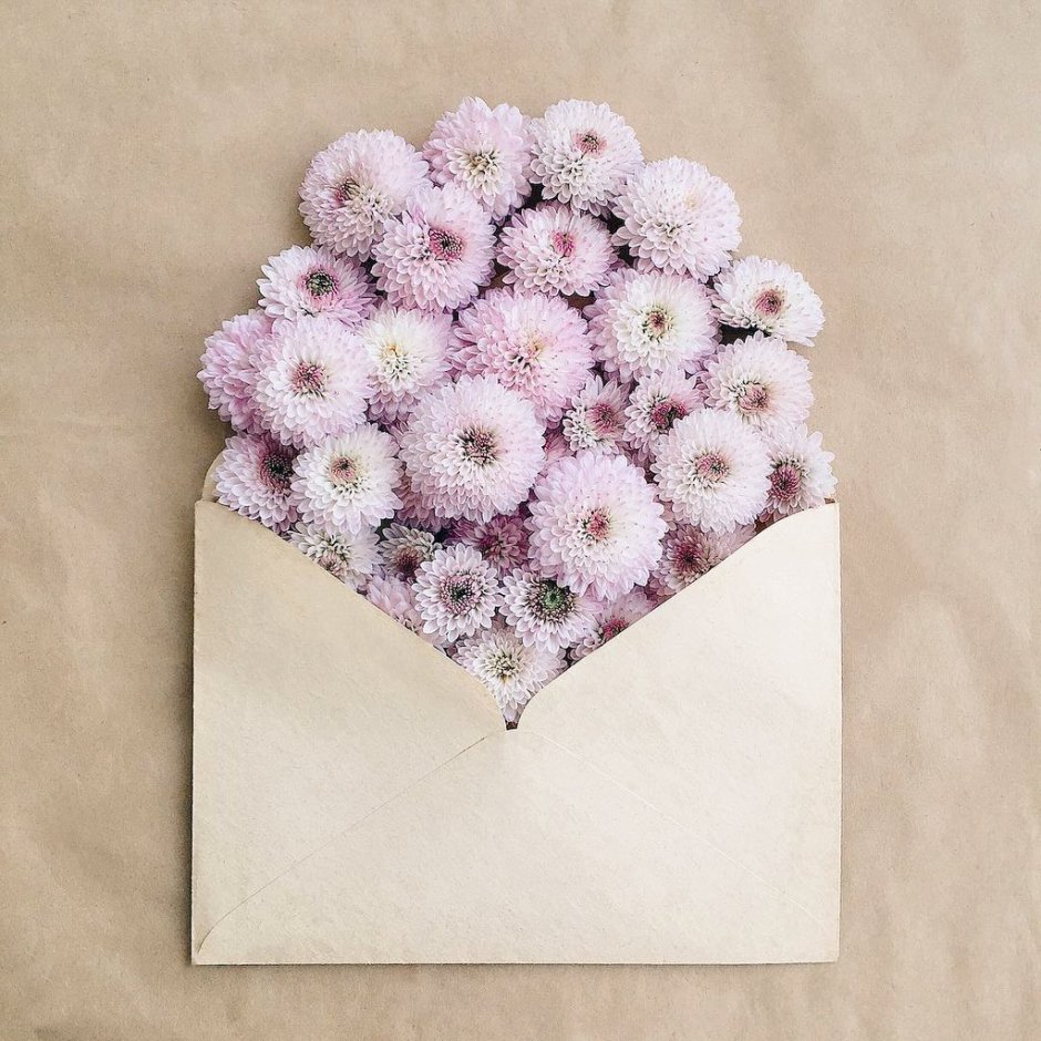 Цветочные конверты с цветами