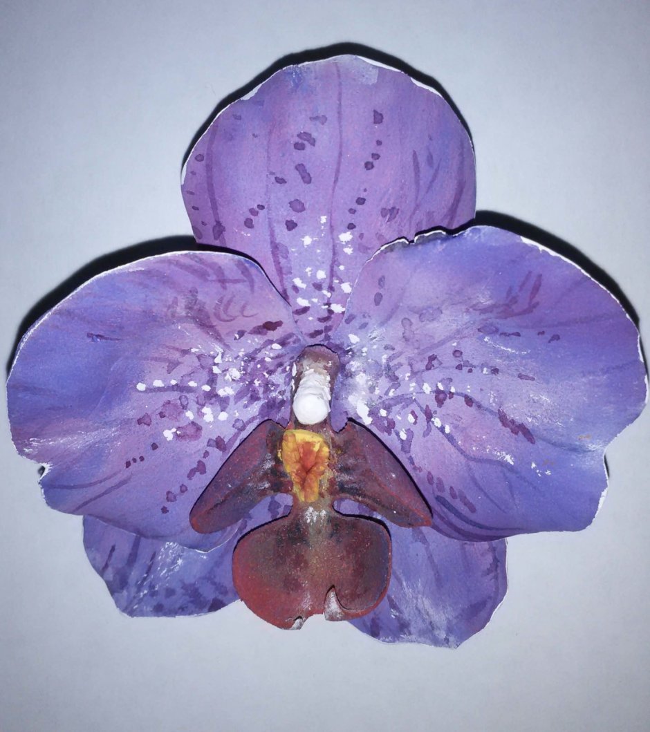 Орхидея выкройка цветка