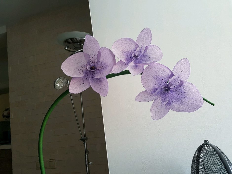 Бумажная Орхидея