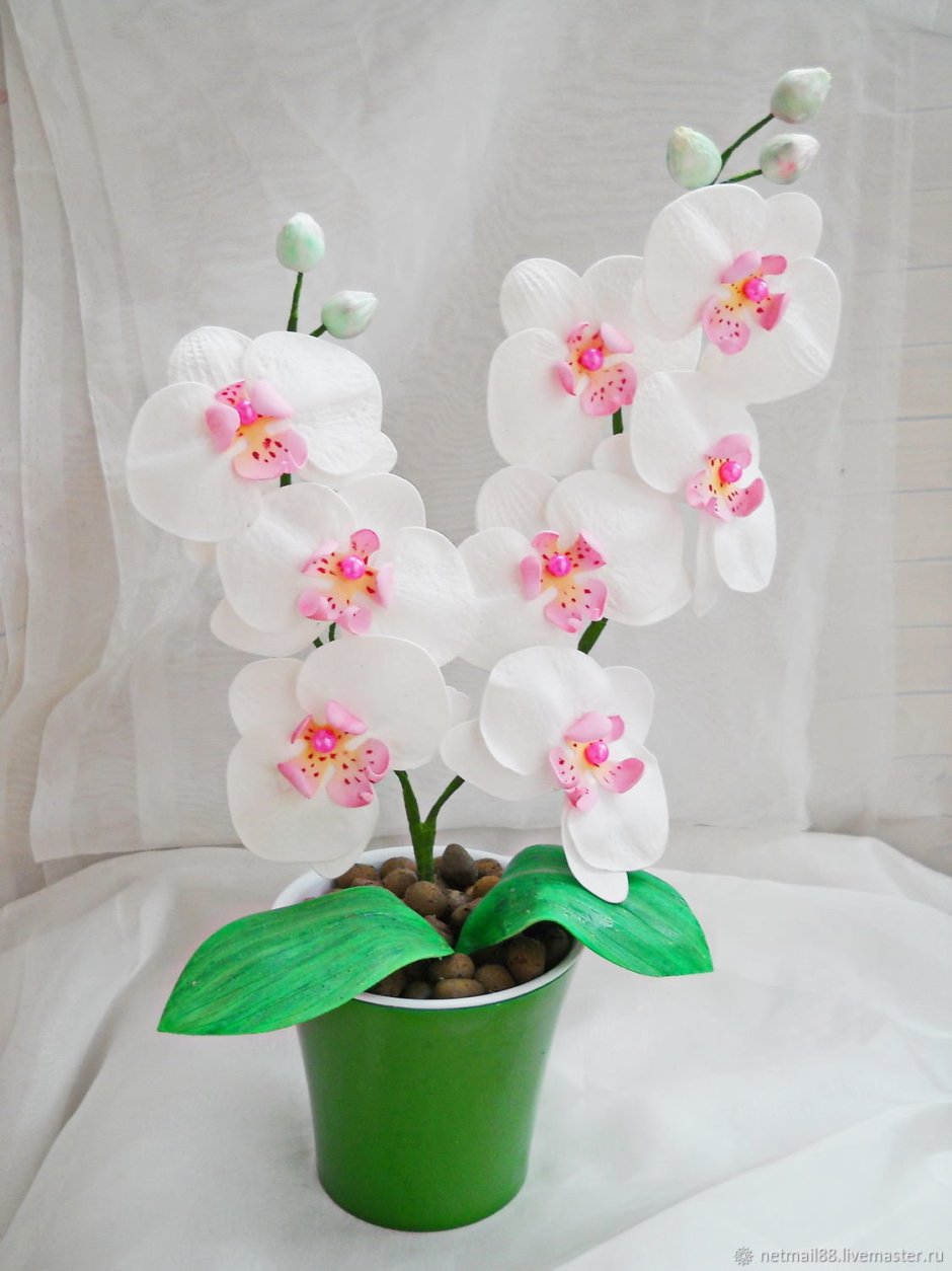 МК Орхидея из Фома