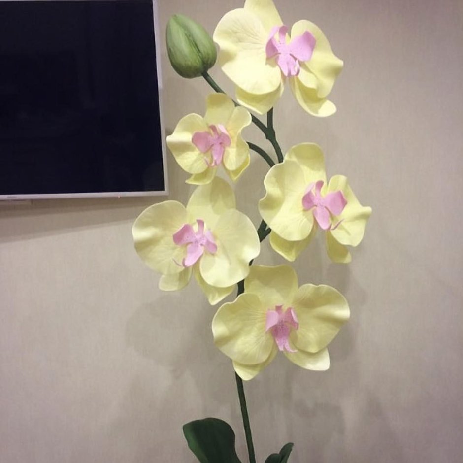 Орхидея из бумаги
