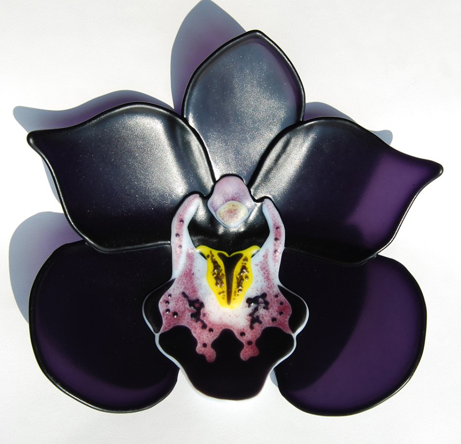Цимбидиум Орхидея черная