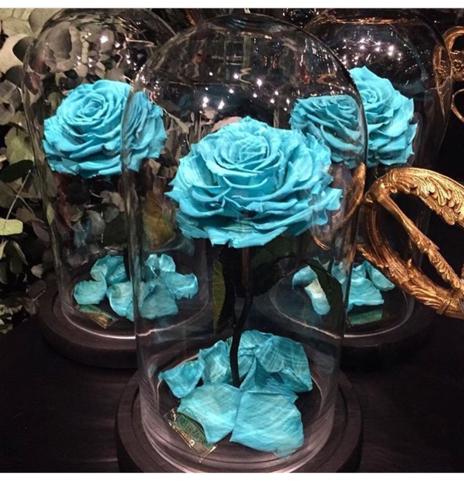 Синяя роза под стеклом