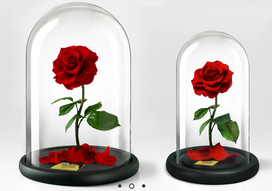 Роза под стеклянным колпаком