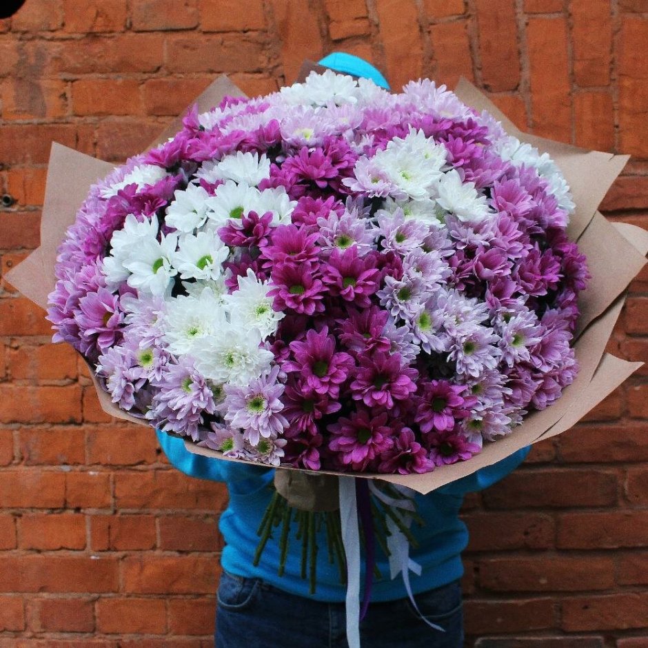 Фиолетовые хризантемы букет