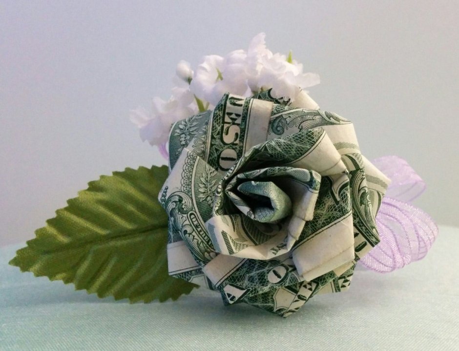 Цветок растет из денег