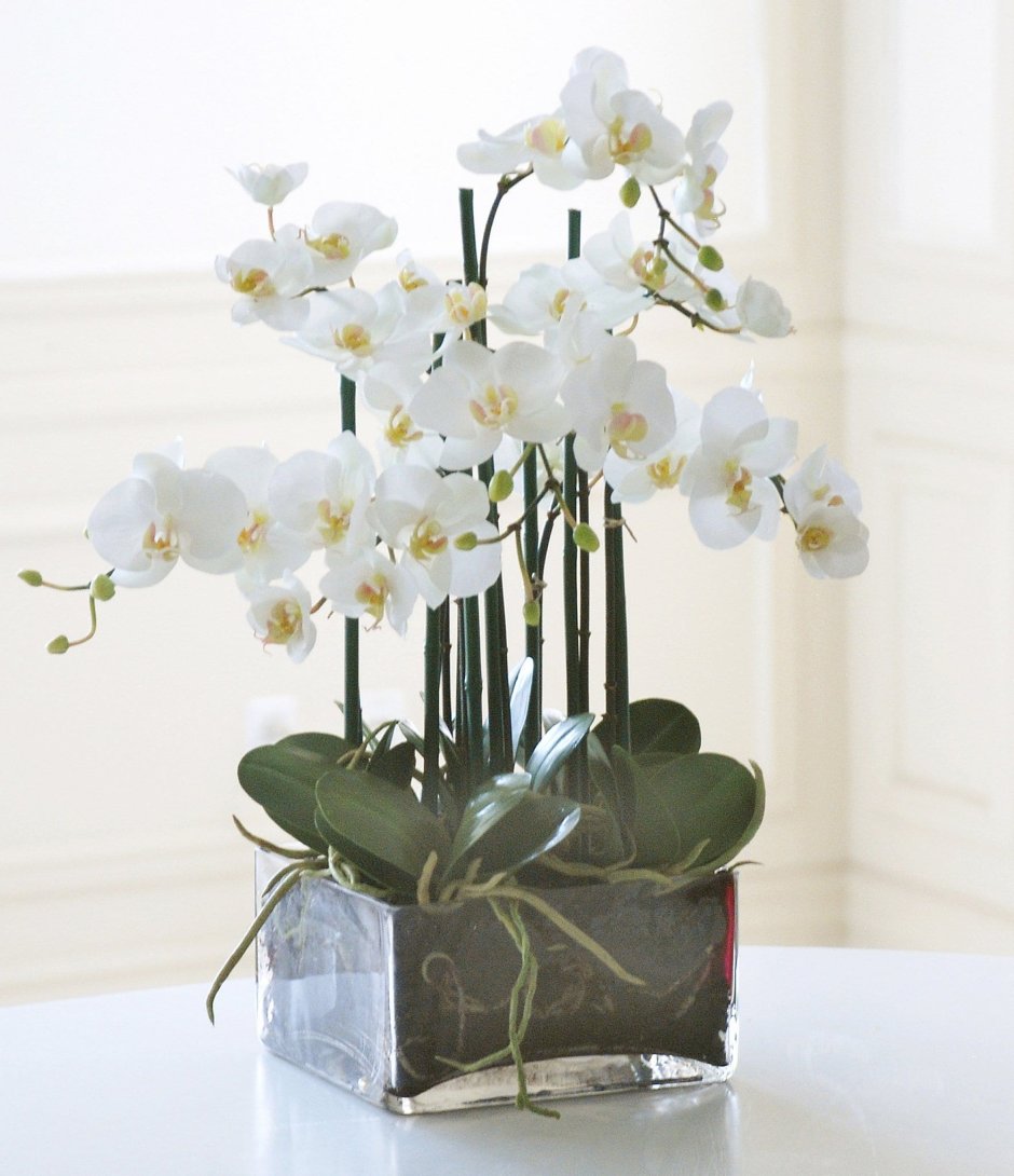Искусственные орхидеи в стеклянных горшках