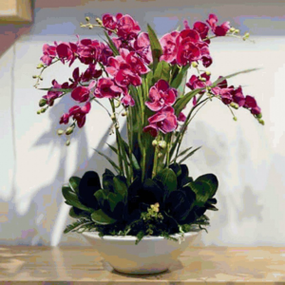 Цветущие горшечные композиции Орхидея