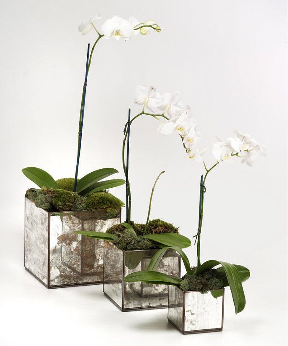 Необычные горшки для орхидей