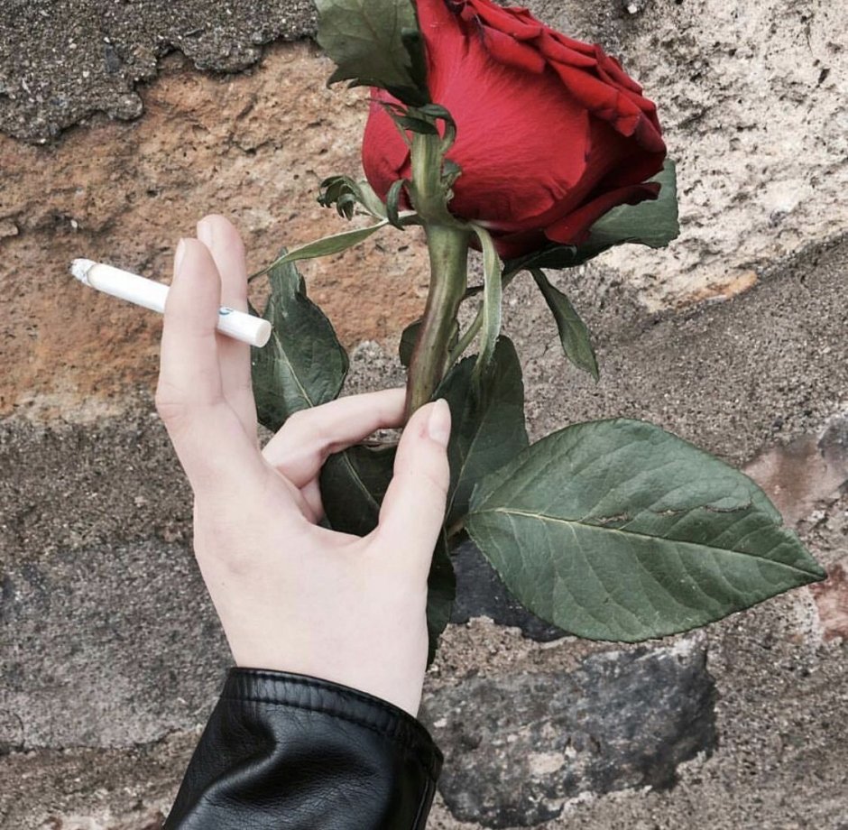 Сигареты роза