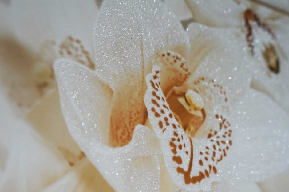 Алмазная мозаика орхидеи