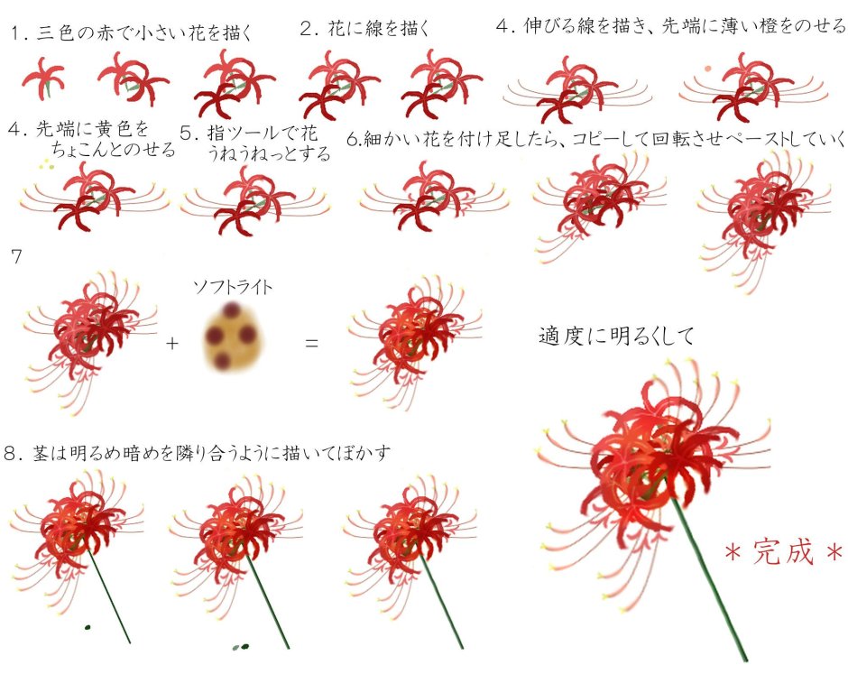 Ликорис цветок смерти эскиз