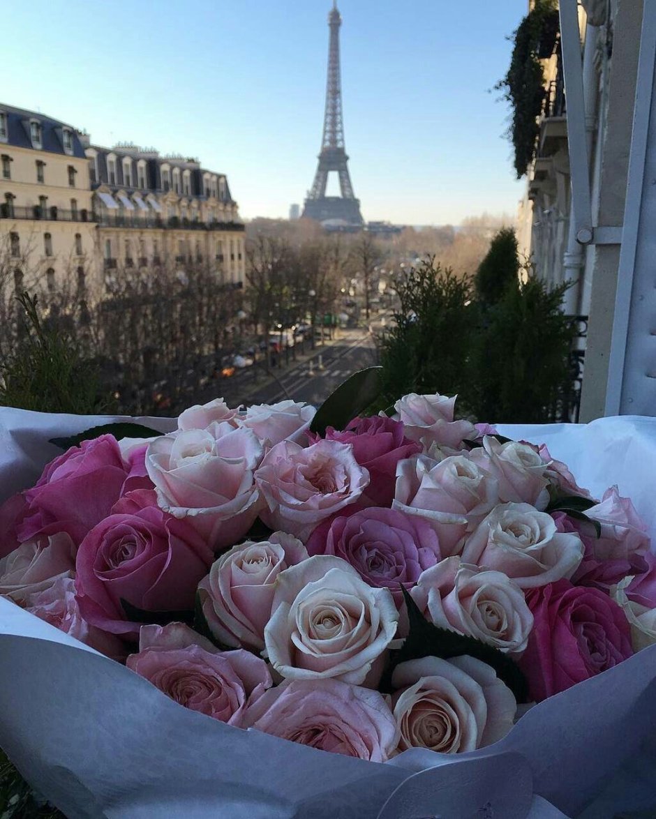 Французские розы маленькие