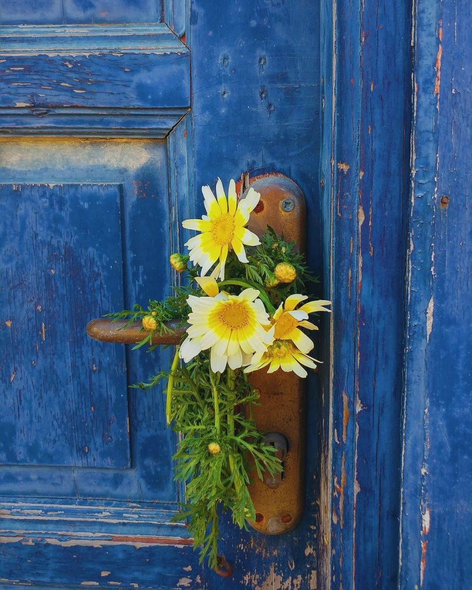 Дверь в лето цветы
