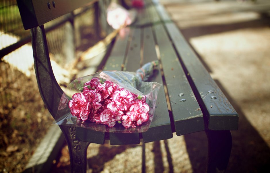 Цветы на скамейке