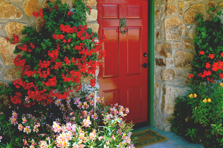 Дверь с цветами