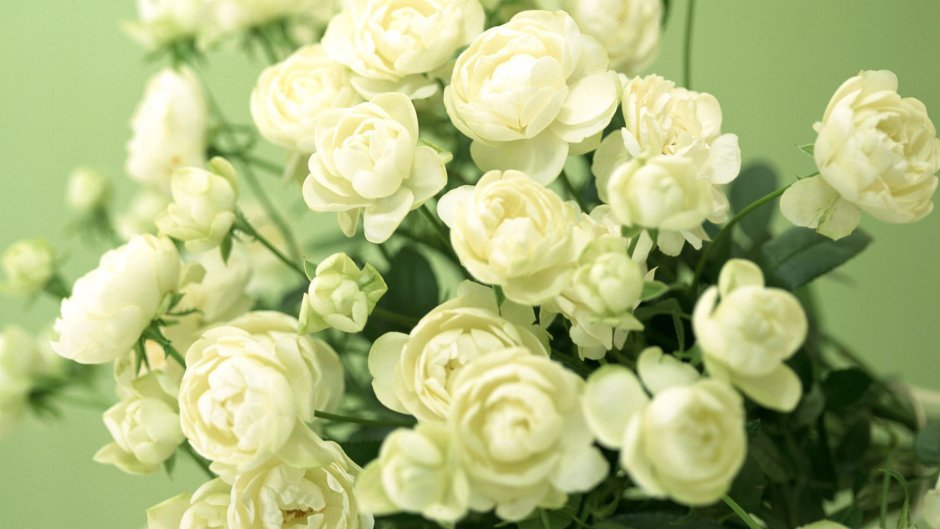 Букет цветов "эустома белая"