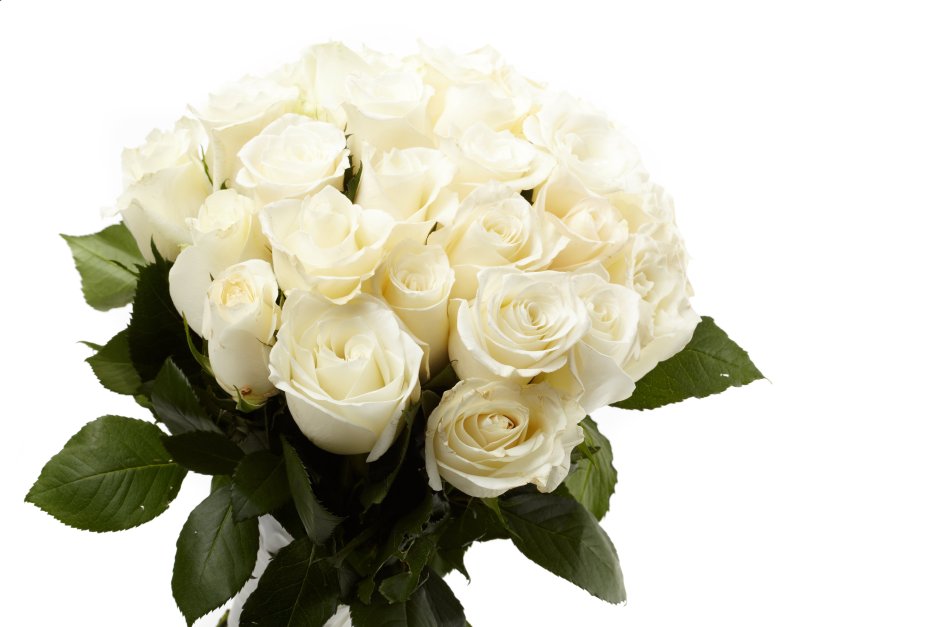 Букет из белых роз и гипсофилы