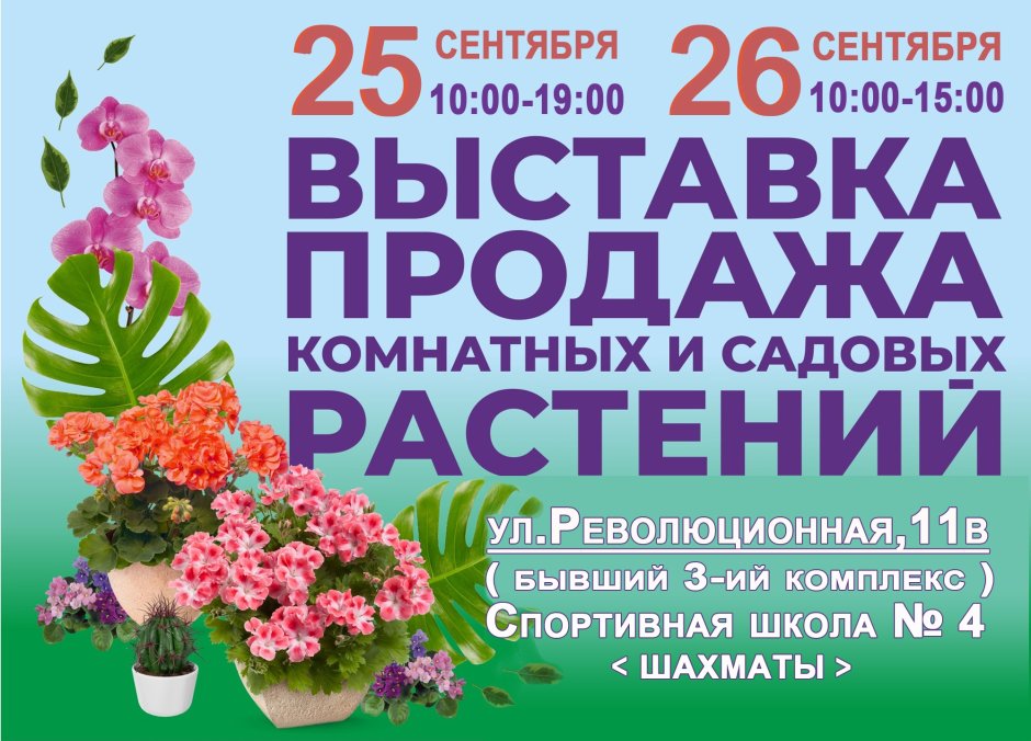 Выставка тюльпанов Александровский сад