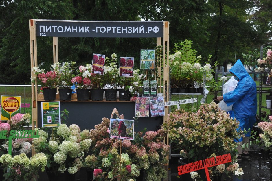 Ярмарка цветов в Москве на ВДНХ