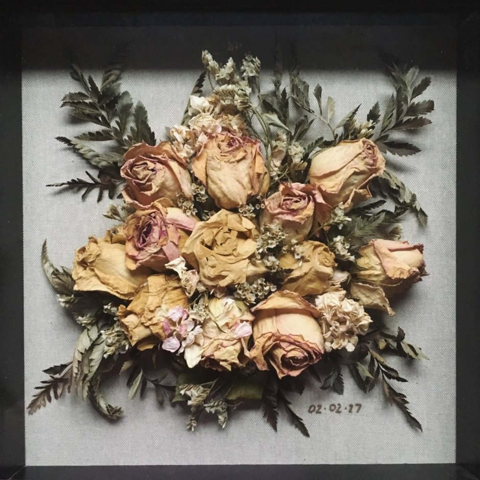 Dried Flowers сухоцветы