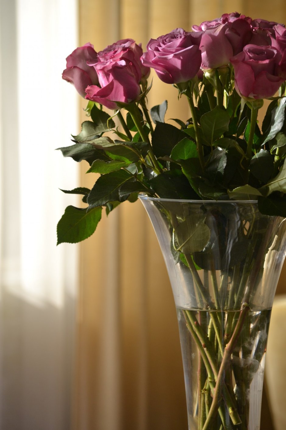 Цветы которые долго стоят в вазе
